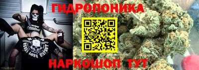 гидропоника Пушкино