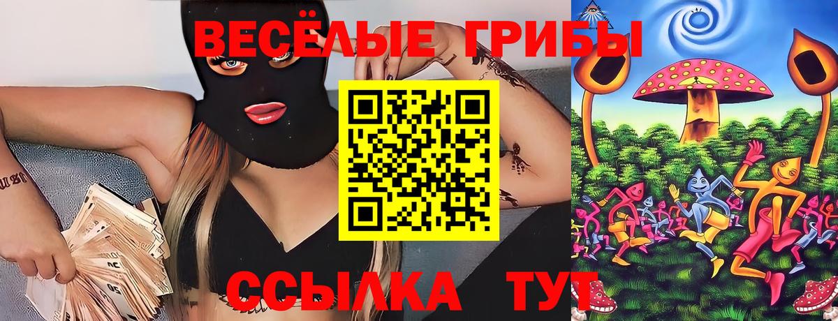 Галлюциногенные грибы прущие грибы Абинск