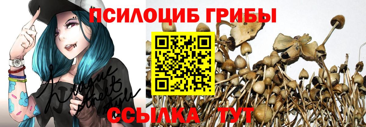 Галлюциногенные грибы Psilocybe  Вход с VPN  Абинск 