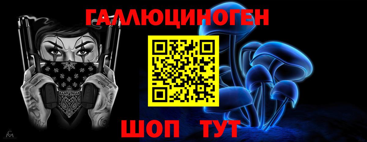 Галлюциногенные грибы Psilocybe  как найти закладки  Абинск 